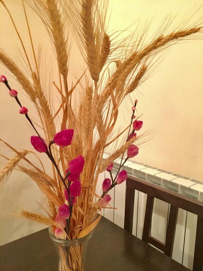 Apartamentos Rurales Flor De Lavanda Brihuega Ngoại thất bức ảnh